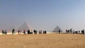 عائدات