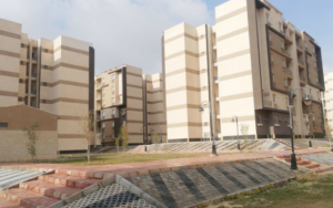 المنصورة