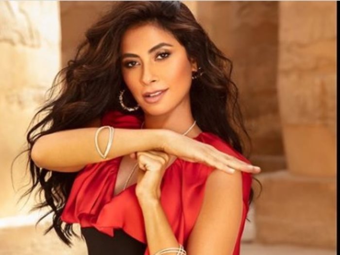 الفنانة روبي
