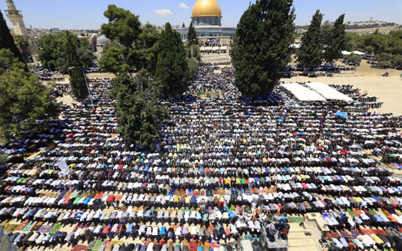 فلسطين