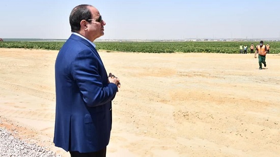 الصحراء الغربية