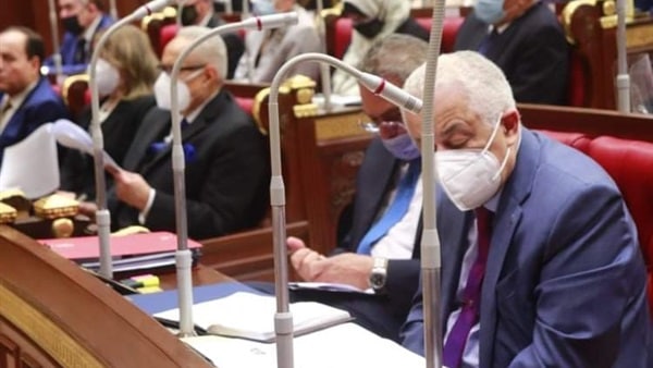 مجلس الشيوخ