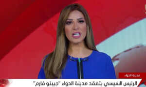 مدن الأدوية