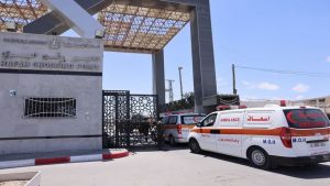 الفصائل