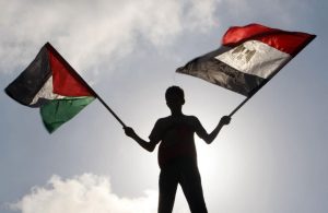 مواطنين