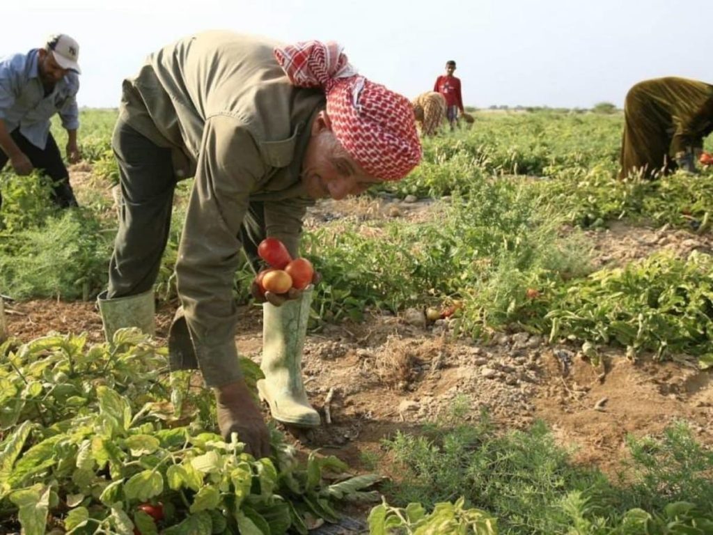الصادرات الزراعية