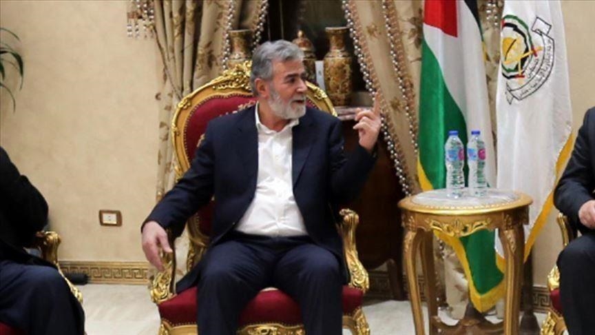نخالة