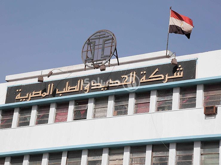 تصفية الشركة