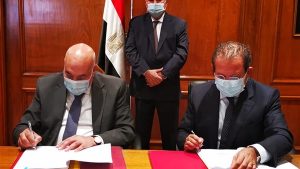 القطن