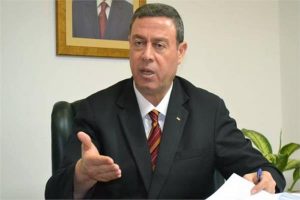 الدور المصري