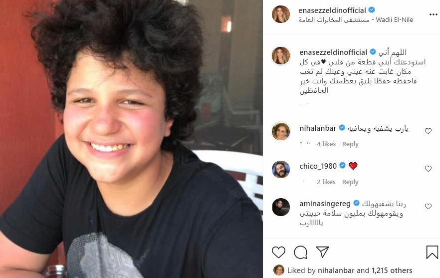 الفنانة ايناس عز الدين
