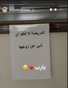 دلال عبد العزيز