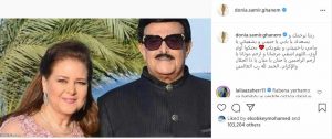 الفنانة دينا سمير غانم