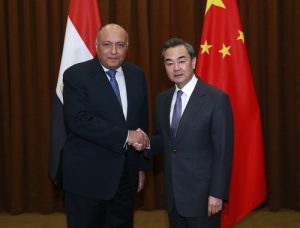 سامح شكري