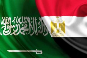 استثماراتها