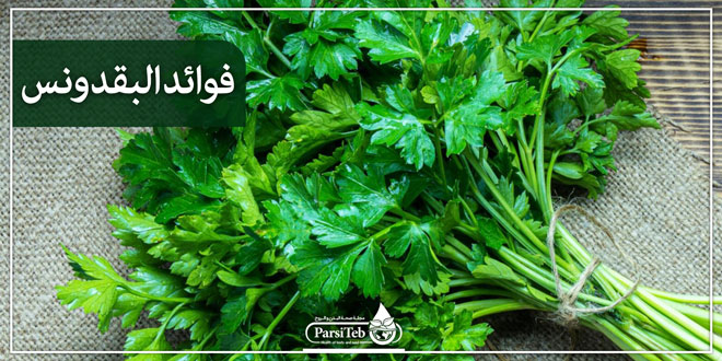 البقدونس