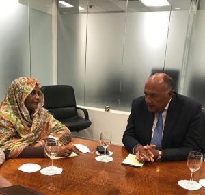 الوزيران