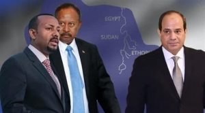 السيسي
