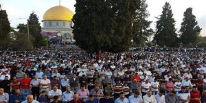 الأضحی