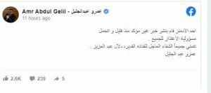 الفنان عمرو