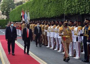 الدكتور مصطفى