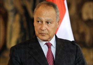 أبو الغيط