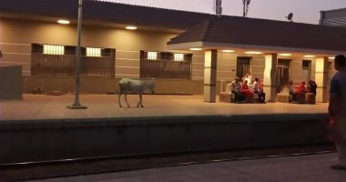 محطات السكك