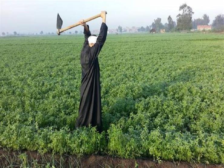 الزراعية