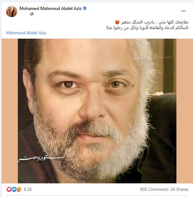 محمود عبد العزيز
