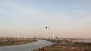 عباس شراقي