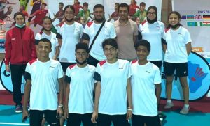 الريشة الطائرة