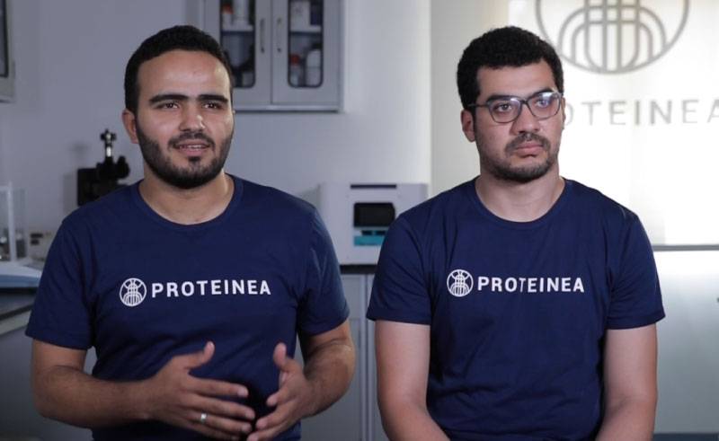 Proeteinea