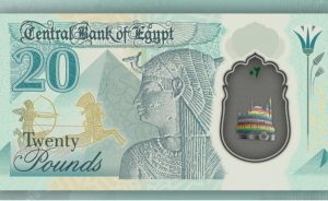 البلاستيكية
