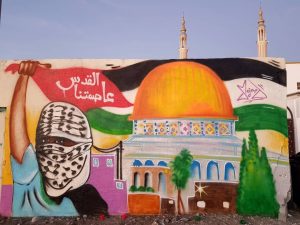 الفصل العنصري