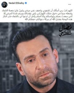 الفنان نضال شافعي