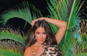 الفنانة ياسمين صبري