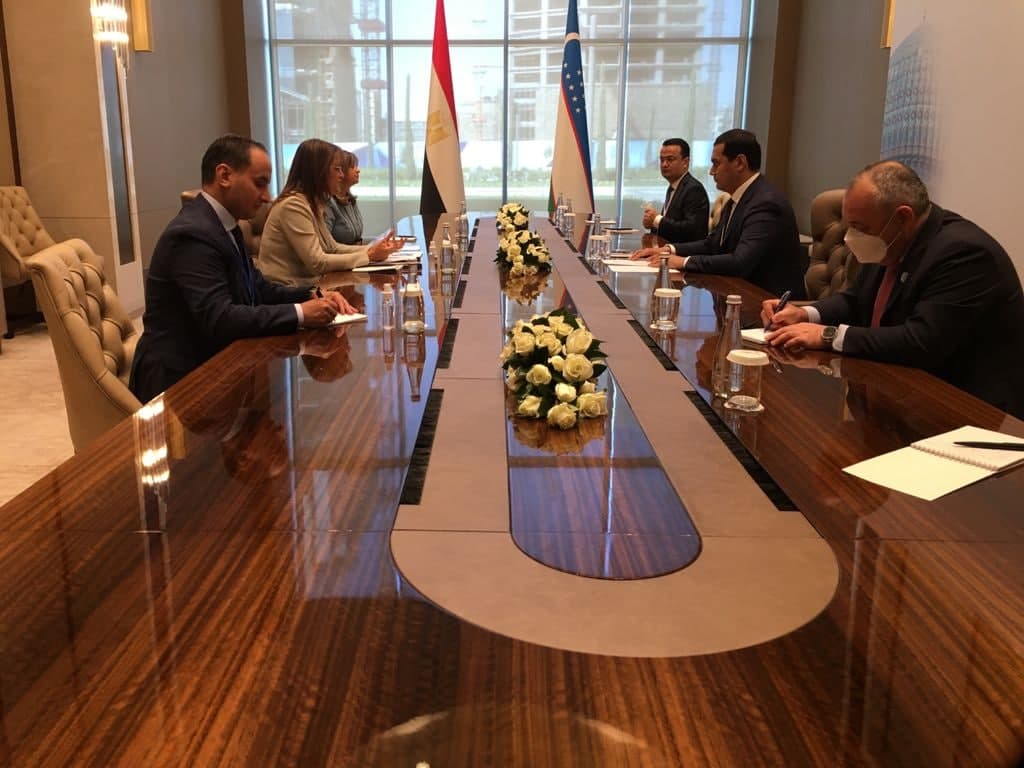 نائب رئيس