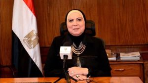 المالية