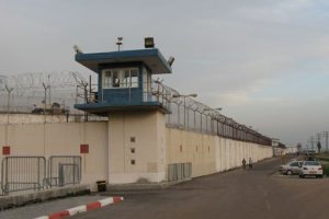 أعداد الأسرى