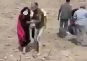 أستاذة جامعية