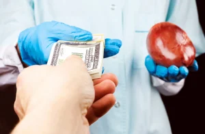الأعضاء البشرية