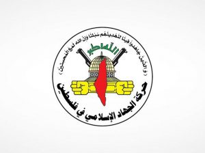 محمد سليم