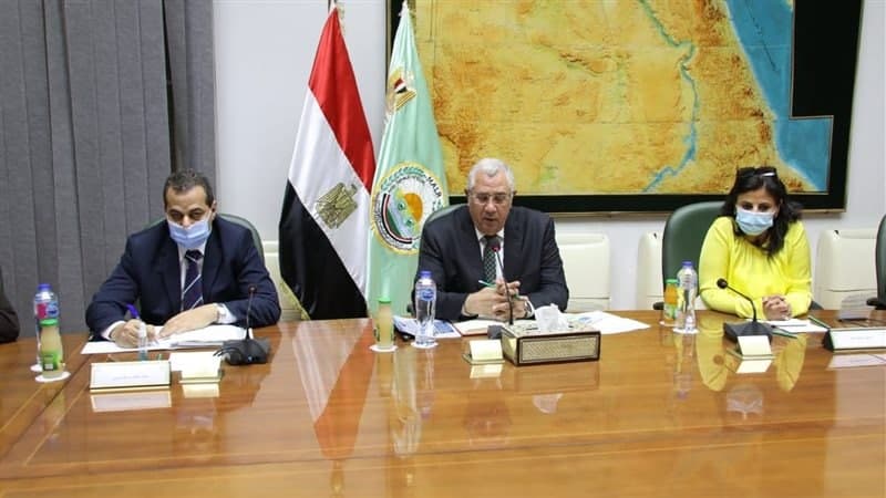 القصير