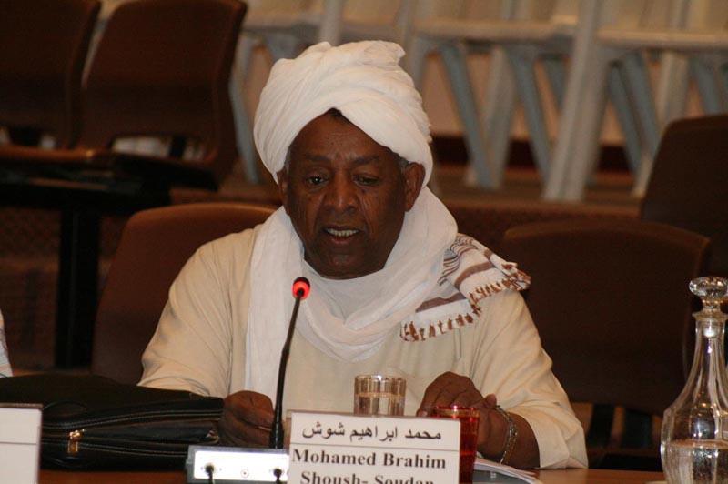 محمد إبراهيم الشوش
