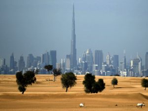 الصحراء