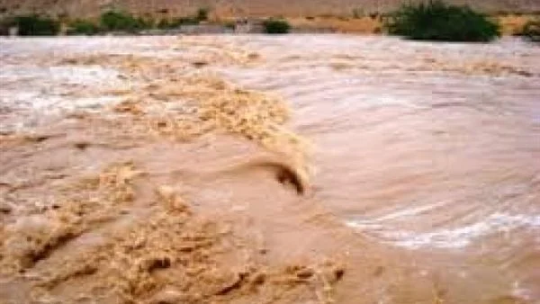 وزارة الري