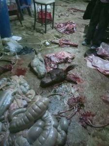 ضبط مزرعة