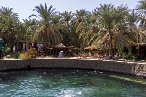 واحة سيوة