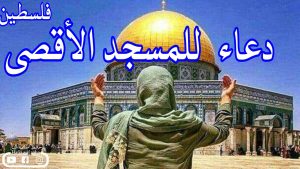 فلسطين تنادي كل مصري : الأقصى بيتك