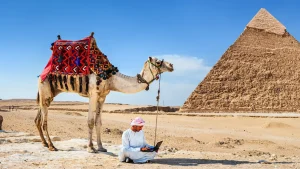 أحدث دعاية في أمريكا سافر إلى مصر من شيكاغو ودالاس ونيويورك وأوكلاند ابتداءً من 567 دولارا أمريكيا